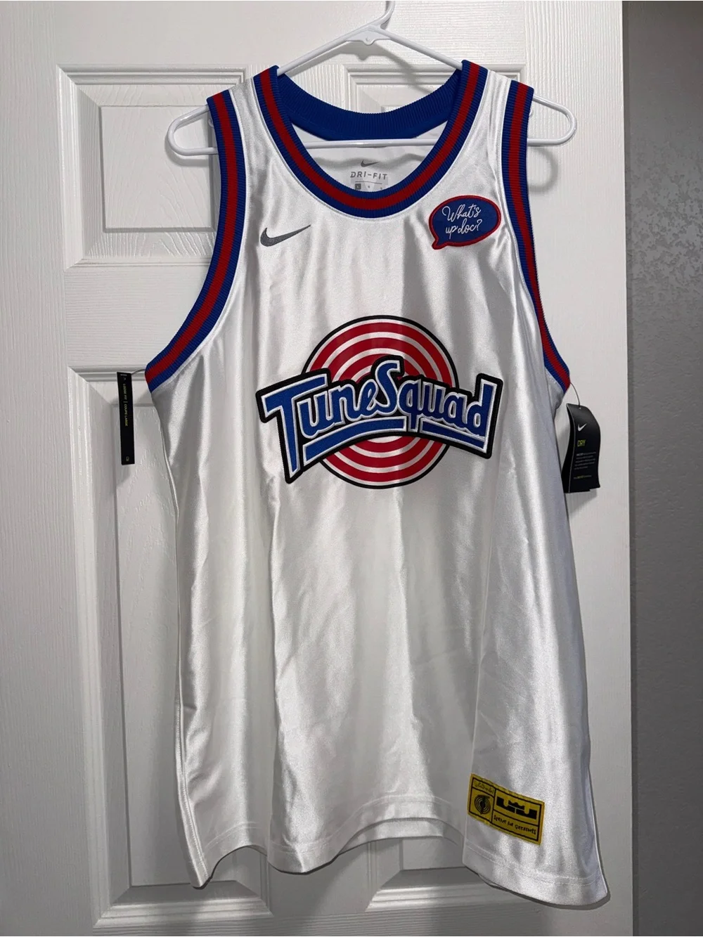 Nike LeBron x Tunesquad Basketball Jersey with Blue & Red Trim